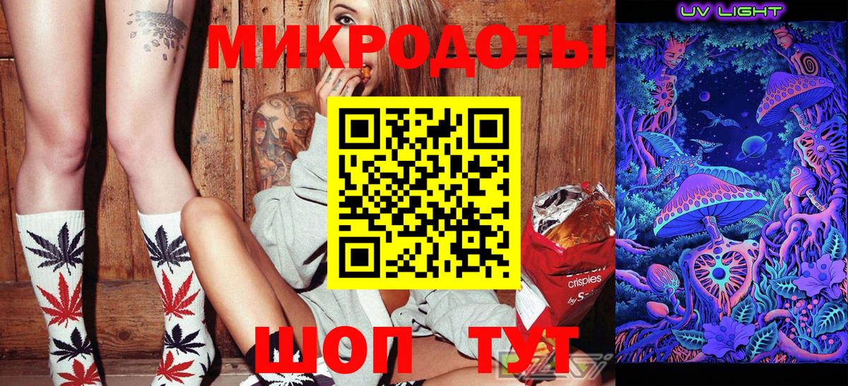 Галлюциногенные грибы Psilocybe  Вход с VPN  Горно-Алтайск 