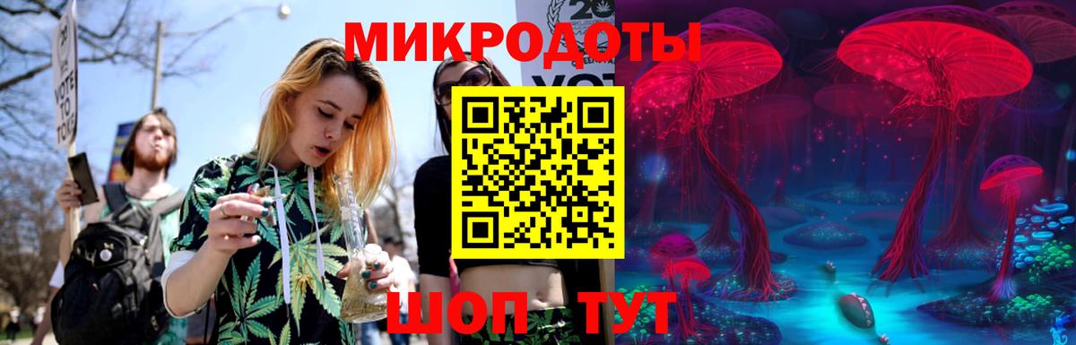 Псилоцибиновые грибы MAGIC MUSHROOMS Горно-Алтайск